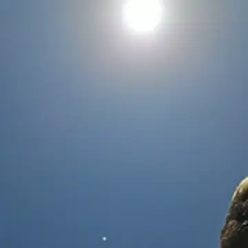 Trucker_Hunter Webcam-Show
