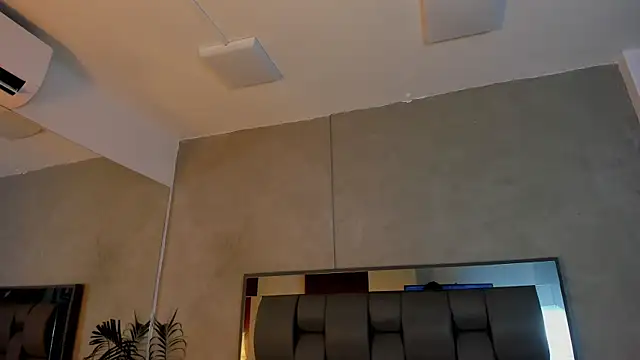 Charlie___Musk Obrolan Langsung XXX