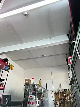 Czat XXX na żywo – Paul22cm-