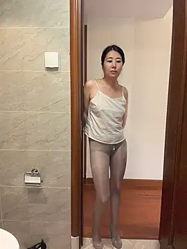huihui-520131n Webbikameraesitys