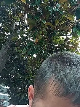 BZH45 Live XXX-Chat