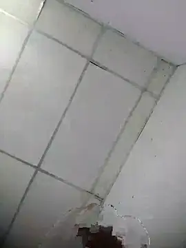 XXX chat uživo modela Noscay