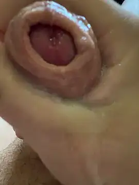 vorhauttree Webcam-Show