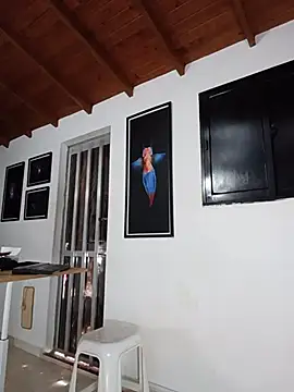SilvaBranko Chat XXX in diretta