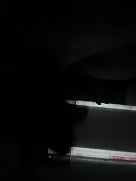 Brunocrvg2002 webkamerás műsora