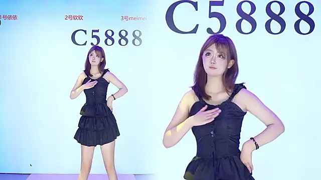 C5888 网络视讯表演