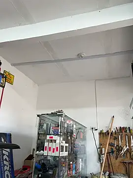 Paul22cm- লাইভ XXX চ্যাট