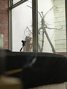 Chat XXX Live AlphaMasterXxx