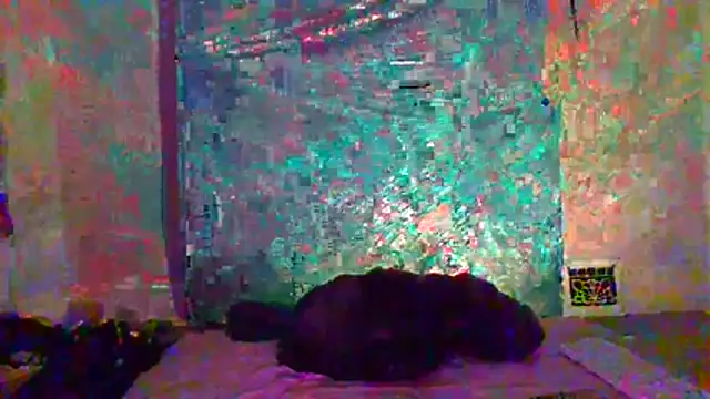 xuan8pssy_ui69 live XXX chat