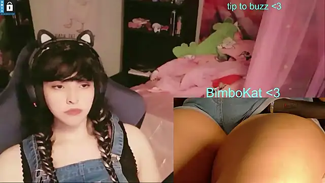 BimboCat webkamerás műsora