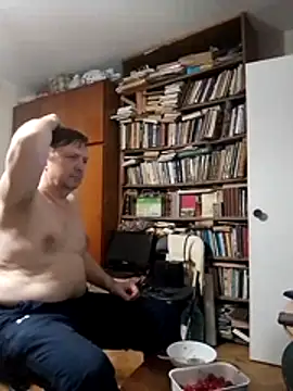 Show webcam de Pokaz2020