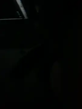 Brunocrvg2002 网络视讯表演