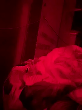 sexdamdang7 webkamerás műsora