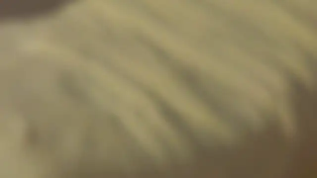 Živý XXX chat sinteas