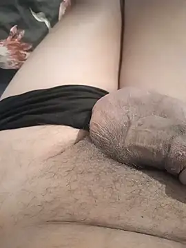 arouane Show Webcam