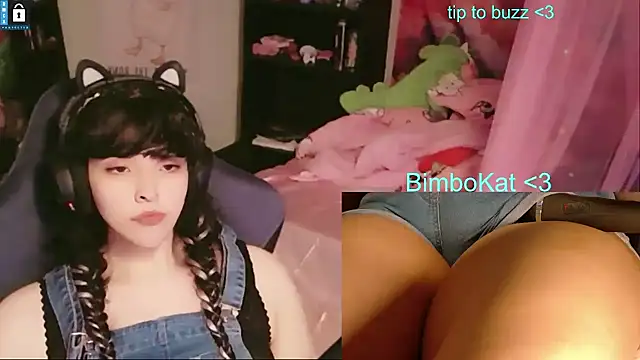 BimboCat 웹캠 쇼