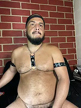 Chat +18 de the_master_foal_ ao vivo