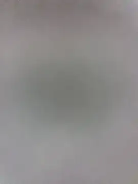 prcejack webcam show