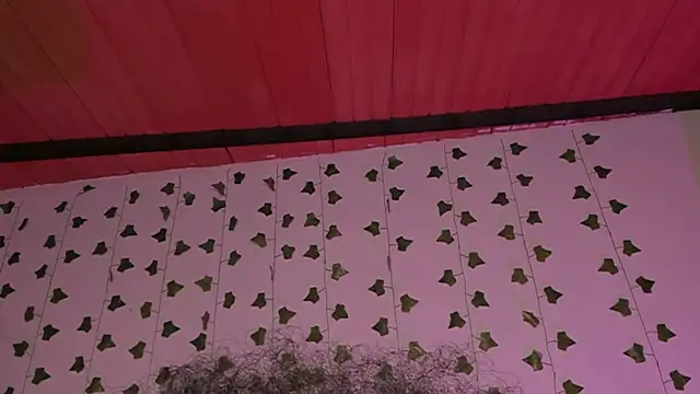 Czat XXX na żywo – Liaaa_1