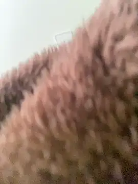 HeyAmaraa 现场XXX聊天