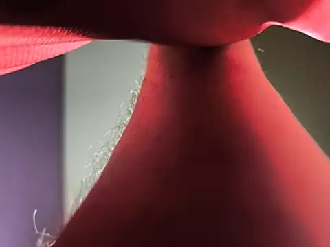 Show webcam de isadirtydog