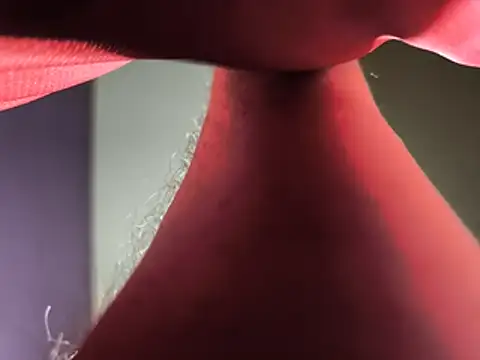 הופעת וובקאם של isadirtydog