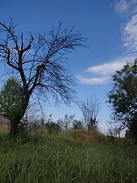 cutewoman67's Live XXX Chat