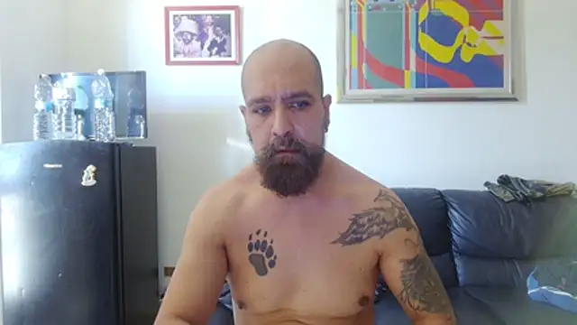 AMIRDIB2025 Live XXX Chat