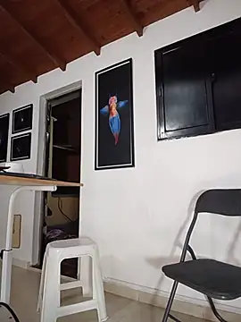 XXX chat uživo modela SilvaBranko