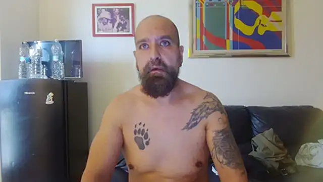 Chat XXX Live AMIRDIB2025