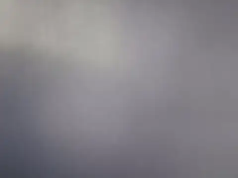 isadirtydog webcam show