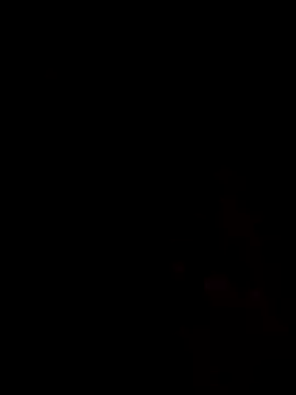 elchocorramit webkamerás műsora