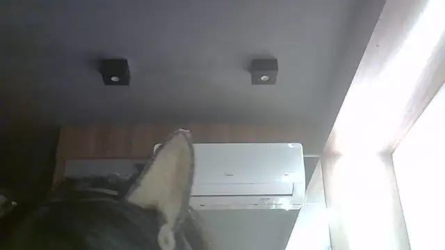Show de webcam de SkinnyKitten