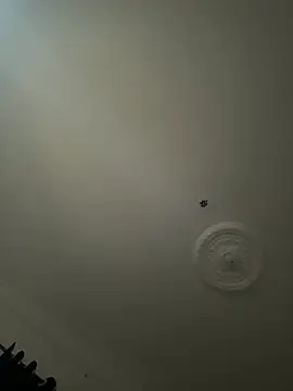 Goodxdickのウェブカメラショー