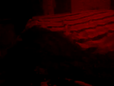 Rilaveta064's Live XXX Chat