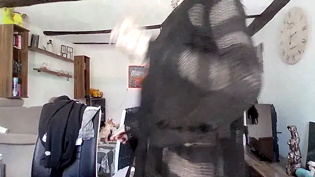 Chat +18 de BlueVelvetBat ao vivo