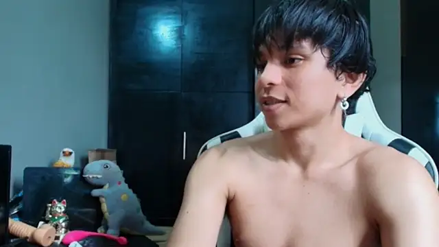 Show webcam de raikougame