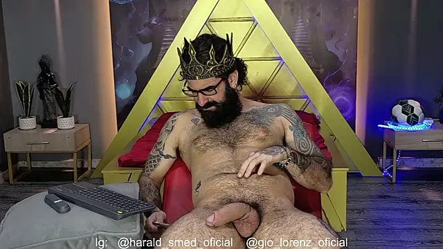 Show webcam de Haraldsmed