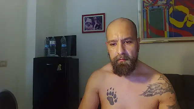 AMIRDIB2025 Live XXX Chat