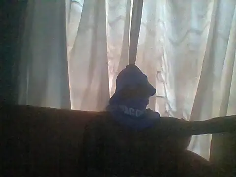 S_C1 Webcam-Show