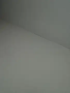 felicezx Show in webcam
