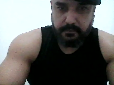 Chat +18 de stallony ao vivo