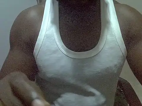 Show Webcam de cockmatyser