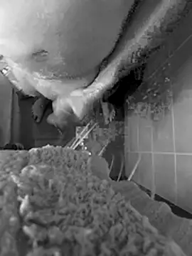 Show Webcam de anusavous