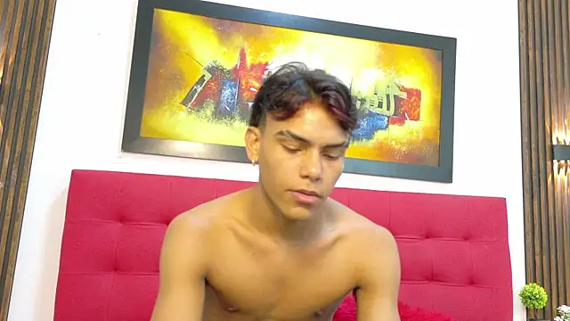 AriCole_n Webbikameraesitys