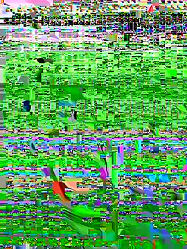 MariaStill Chat XXX live