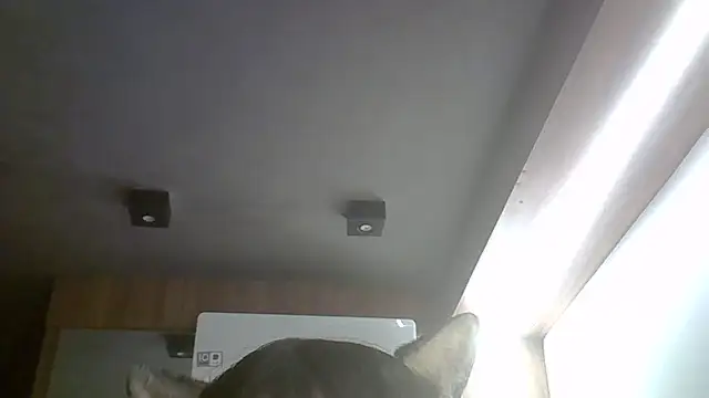 SkinnyKitten 网络视讯表演