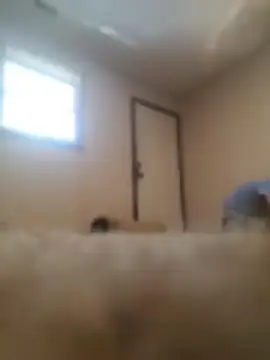 Show Webcam de Biknight