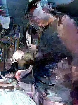 Show webcam de sebtin2411