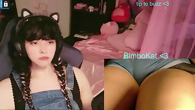BimboCat: απευθείας συνομιλία ΧΧΧ